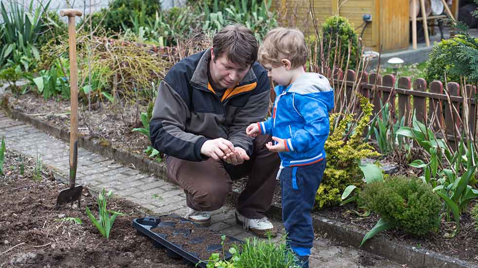 November gardening jobs man and boy sowing seeds